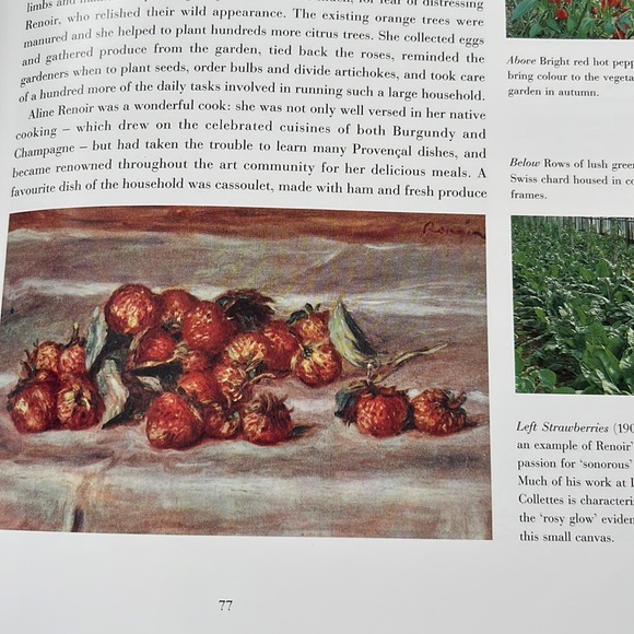 Renoir’s Garden Celebration of the Garden that inspired worlds greatest painter - Picture 14 of 16